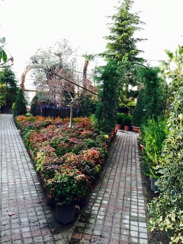 İsveş Fidanlık’ta çiçek tarhlarıyla çevrili yürüyüş yolu