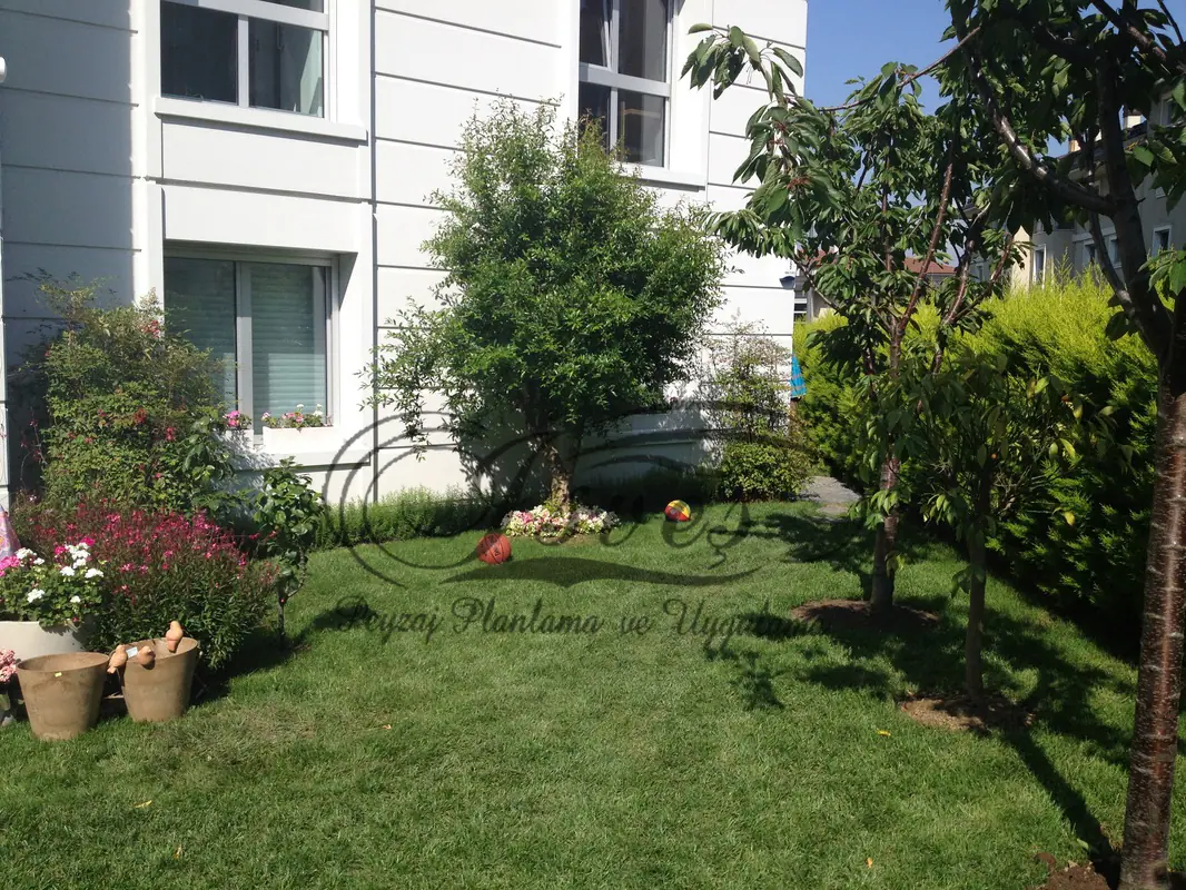Villa bahçesinde çim alan ve bitki grupları
