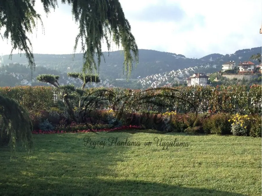 Manzaralı arazide çim ve bitkilendirme