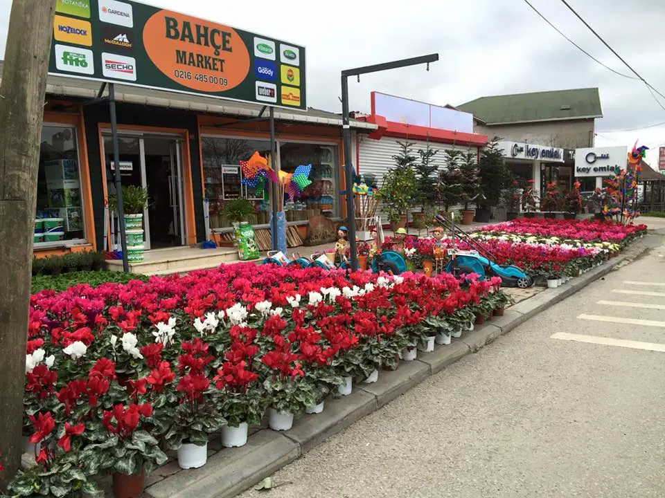 Bahçe Market önünde sergilenen Atatürk çiçekleri