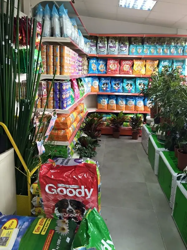 Bahçe Market iç mekânı ve bitkiler