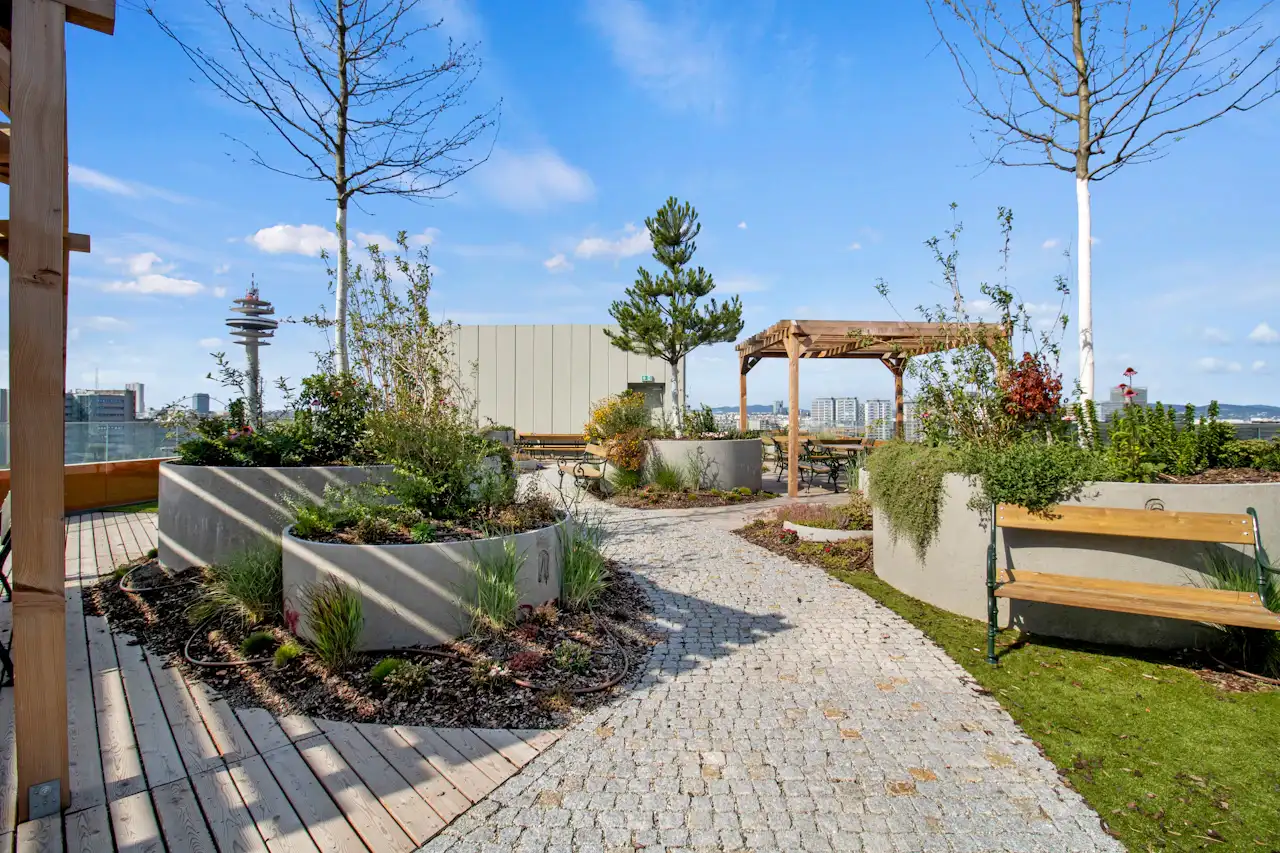 Saksılar, ahşap pergola ve yürüyüş yoluyla modern çatı bahçesi