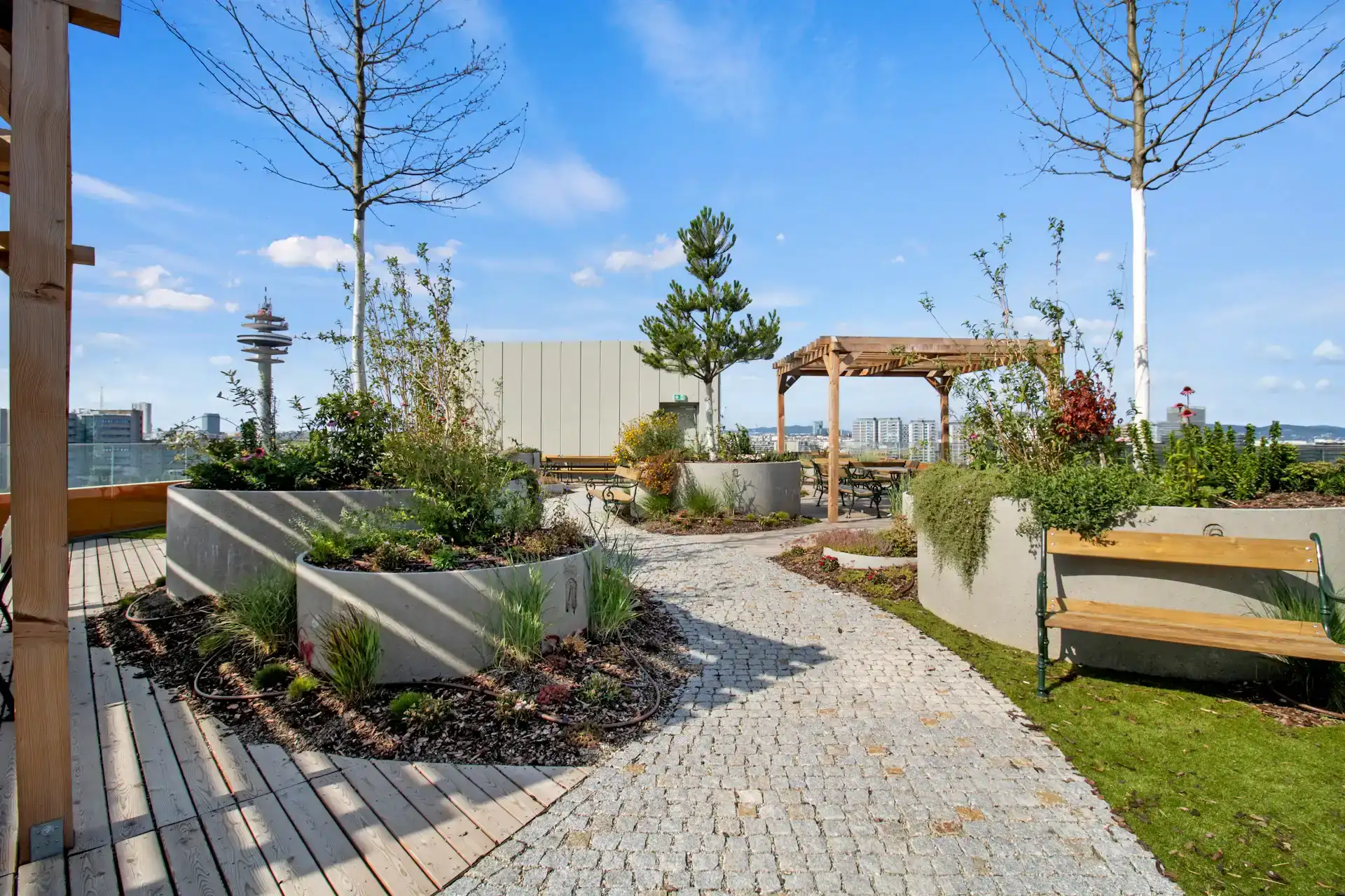Saksılar, ahşap pergola ve yürüyüş yoluyla modern çatı bahçesi