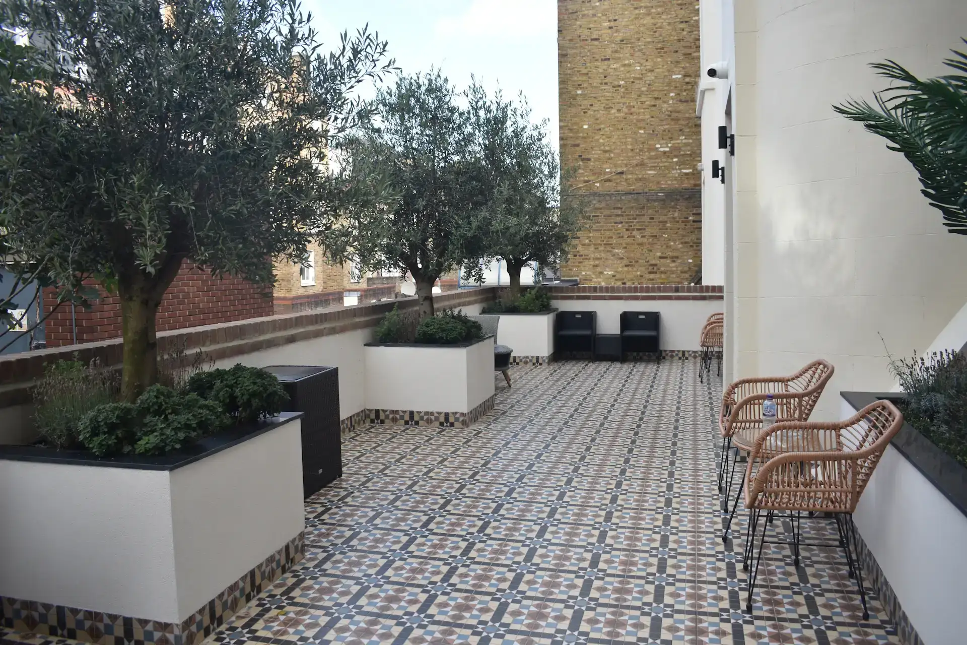 Beyaz modern saksılarda ağaçlarla düzenlenmiş teras