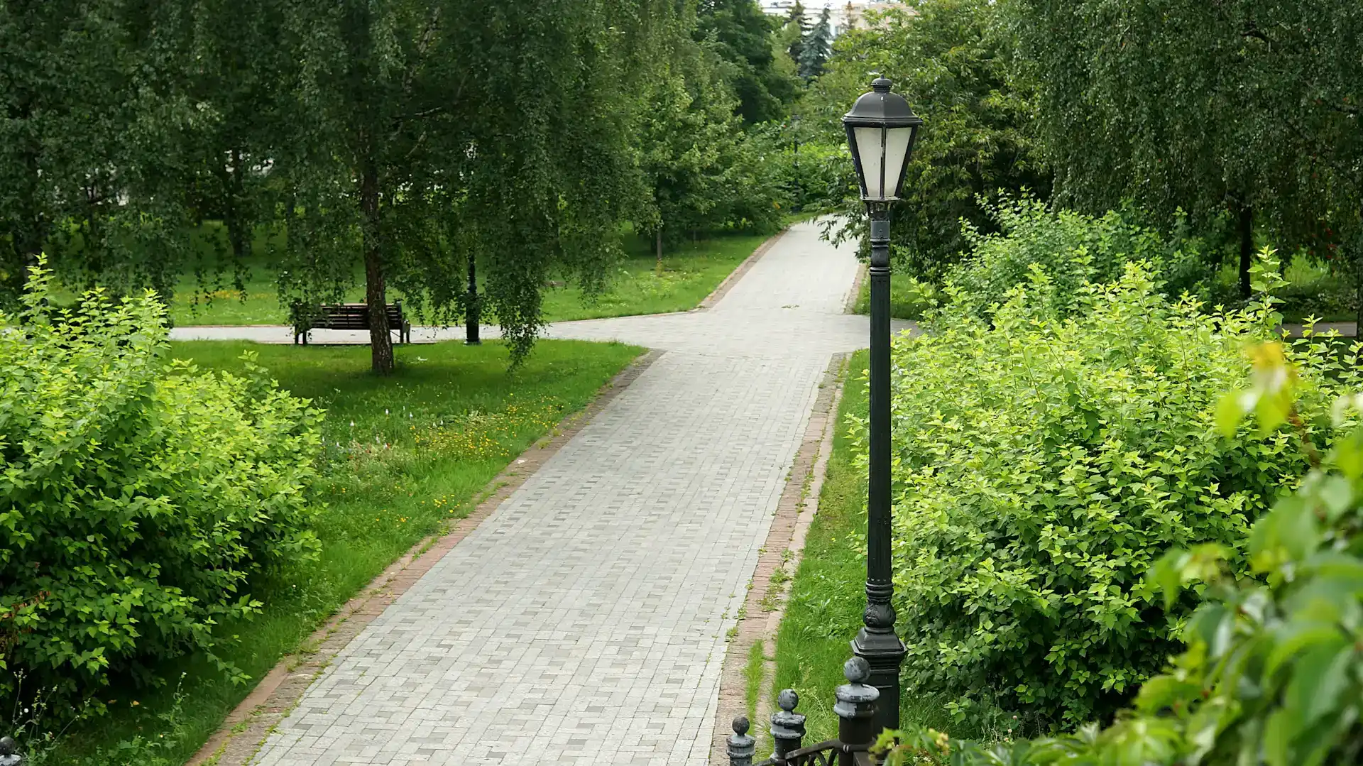 Ağaçlar, çim alanlar ve taş kaplı yürüyüş yoluyla tamamlanmış park peyzajı